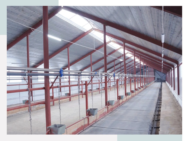 Строительство коровников в Реутове от 624 руб.