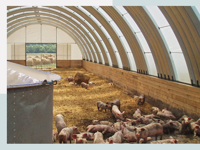 Строительство свинарников в Реутове