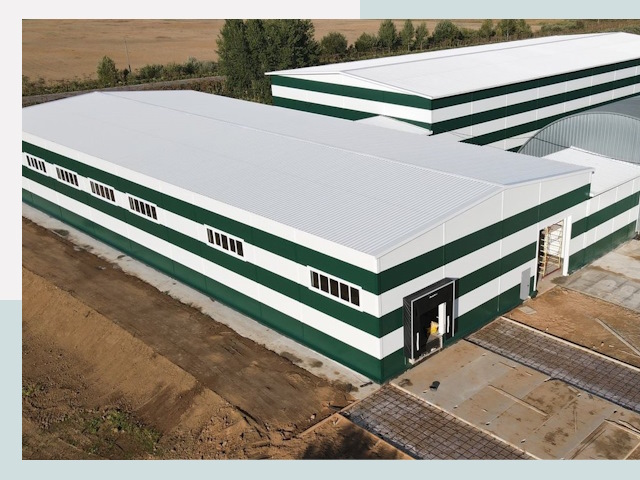 Строительство овощехранилищ в Реутове