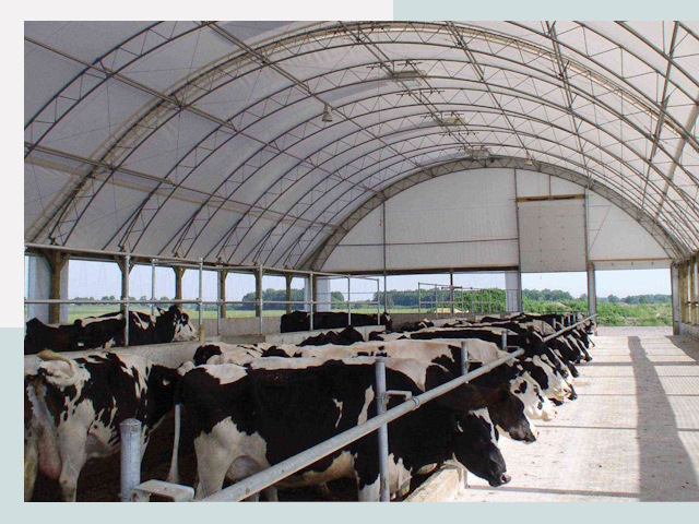 Тентовые коровники в Реутове